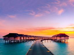 غواصی در تور مالدیو