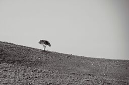 بازطراحی مسیر رشد یک طراح محصول — از آشفتگی تا اثربخشی 🌱