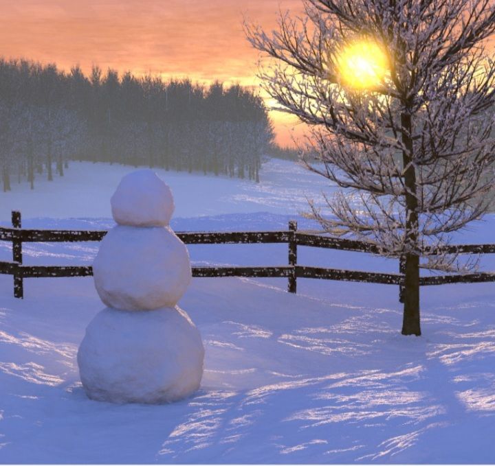 آدم برفی ای که عاشق خورشید شد:)