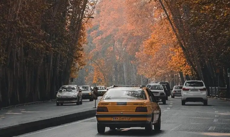 دیگر چیزی از پاییز باقی نمانده