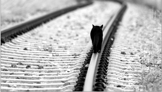 روز خود را چگونه گذراندید؟