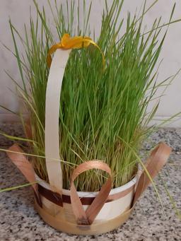 دیدن نه نگاه کردن!