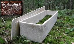 کمک اجساد به رشد درختان با تابوت های قارچی