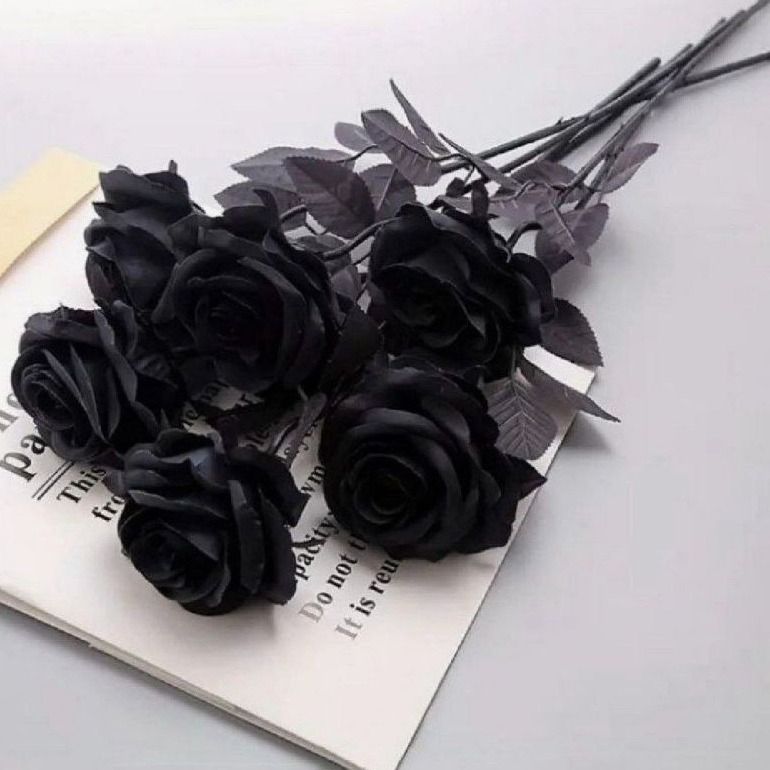 𝗠𝗘𝗥𝗜𝗗𝗔