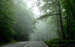 اگر به تنکابن سفر کردید از کجا دیدن کنید.