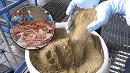 پودر گوشت و استخوان برای تغذیه دام و طیور آبزیان