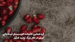 یلدای کارآفرینی؛ آنچه داشت و آنچه نداشت