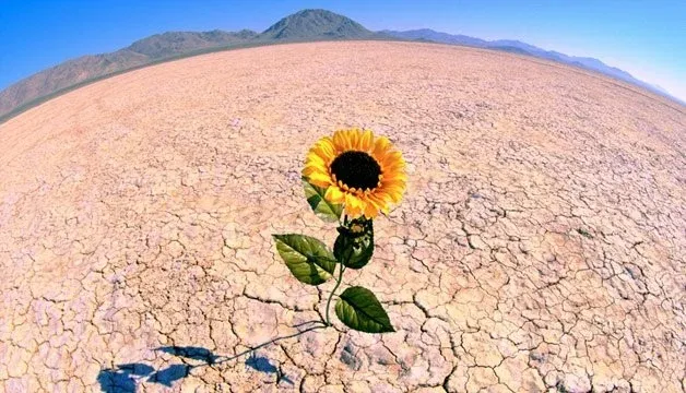 رسانه تاب آوری ایران