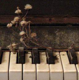 بیماری خنده(2)