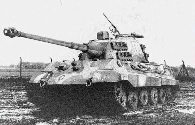 tiger2