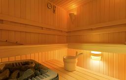 3 شرکت برتر ساخت سونا خشک در ایران