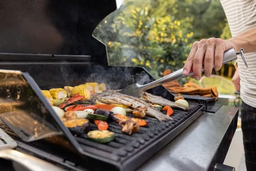 باربیکیو ذغالی بهتر است یا باربیکیو گازی | تفاوت ها و امکانات