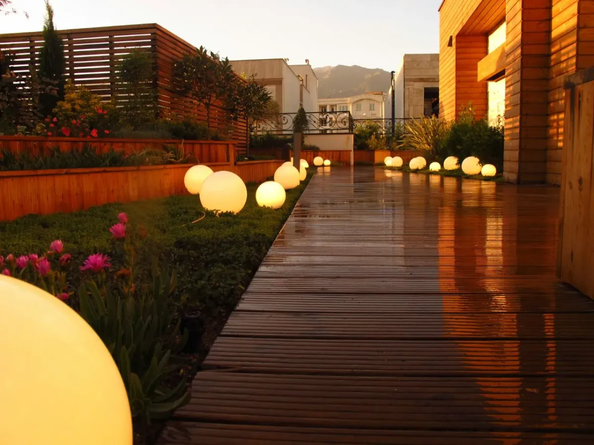 بام سبز چیست؟