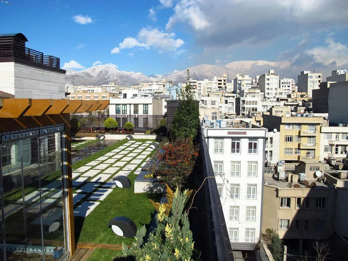 انواع بام سبز