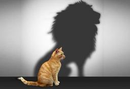 نشانه‌های میان‌مایگی چیست؟