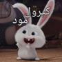 کیرول مود