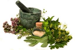 راه اندازی کسب‌ و کار پرورش گیاهان دارویی چقدر هزینه دارد؟