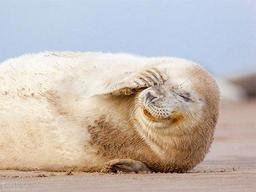 مروری بر 5 ماه حضور در ویرگول+139 تایی شدم!