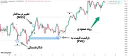 اضافه کردن اندیکاتور استراتژی سوپ‌ لاک‌پشت (Turtle Soup Strategy) تریدینگ ویو [تریدینگ فایندر]