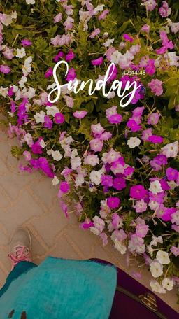 نوشتن تنها نوشتن نیست