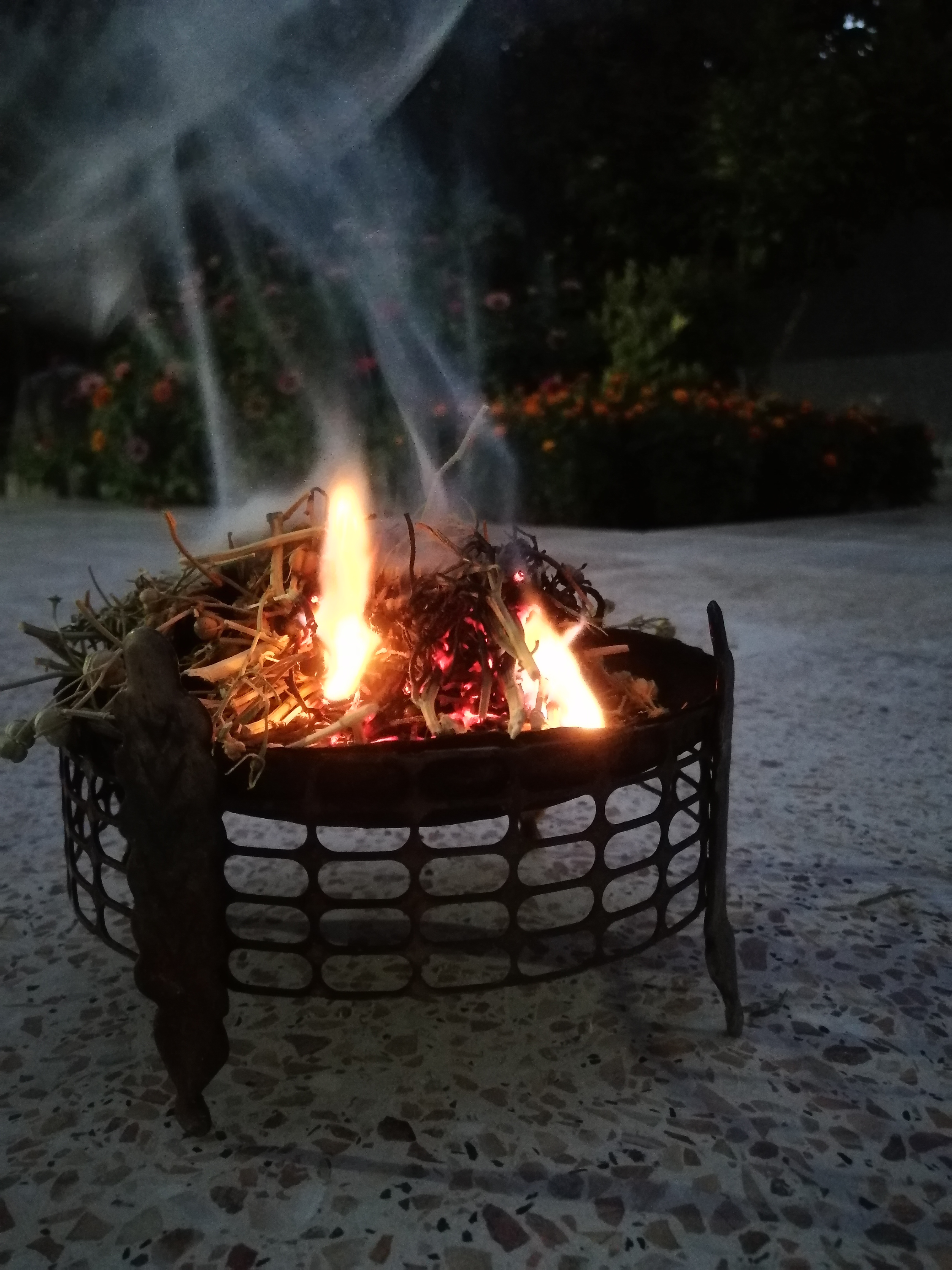 این تصویر برای هفته پیش هست ولی خب خوبه فیض ببرید🙃