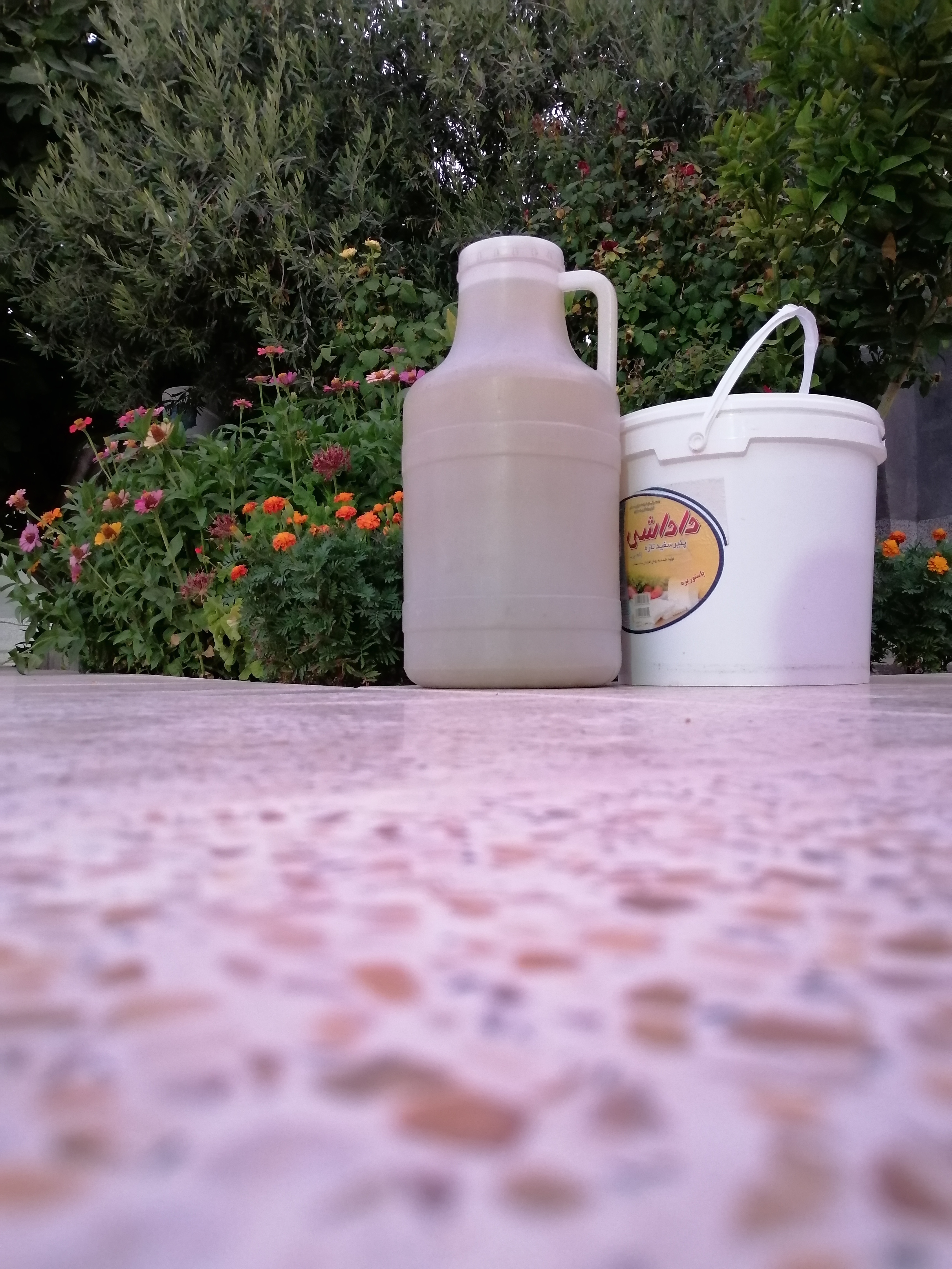 این هم از بیست کیلو آبغوره😋 شاید همین رمز کوچکی باشد تا حدس بزنید من اهل کدام استانم. همیشه این موقع از سال مردم استانمان مشغول آبغوره گرفتن اند.