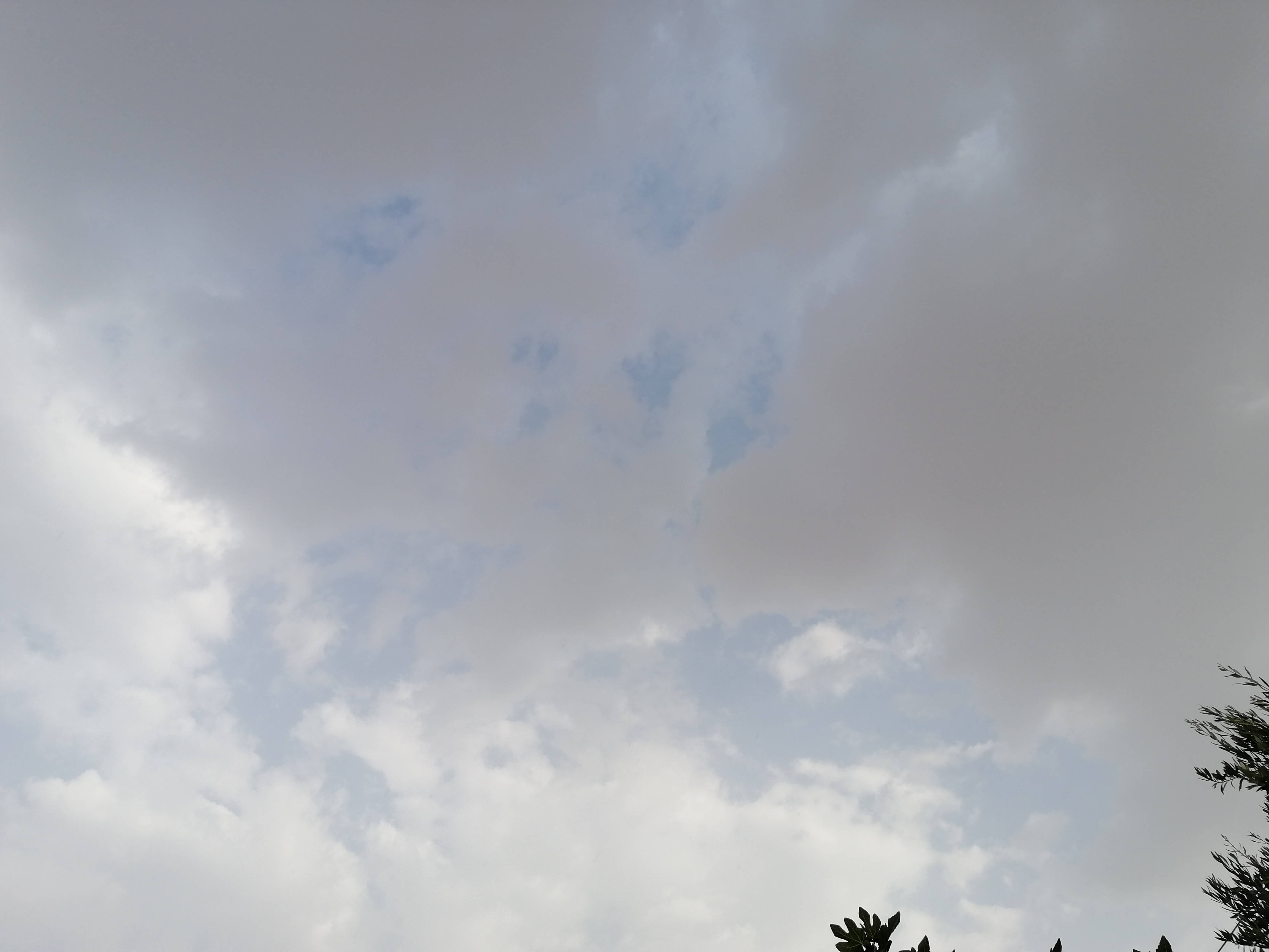 هوای ابری امروز...