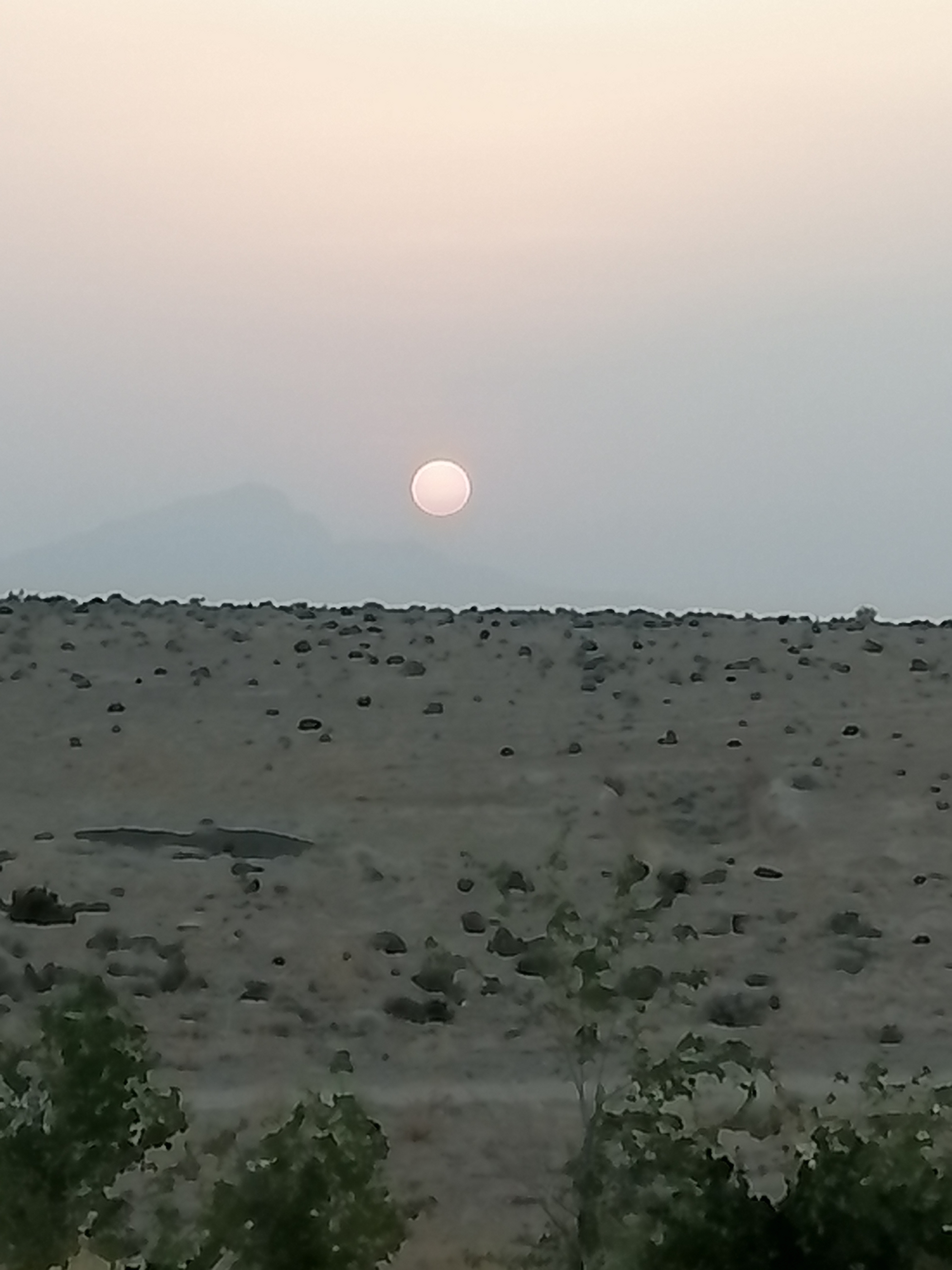 این هم غروب آفتاب دل انگیزی که بانوجان گرفته است. این محل همان رودخانه خشک نزدیک خانه مان است. عکاسی های بانویم حرف ندارد و خیلی خوب مهارت دارد😍