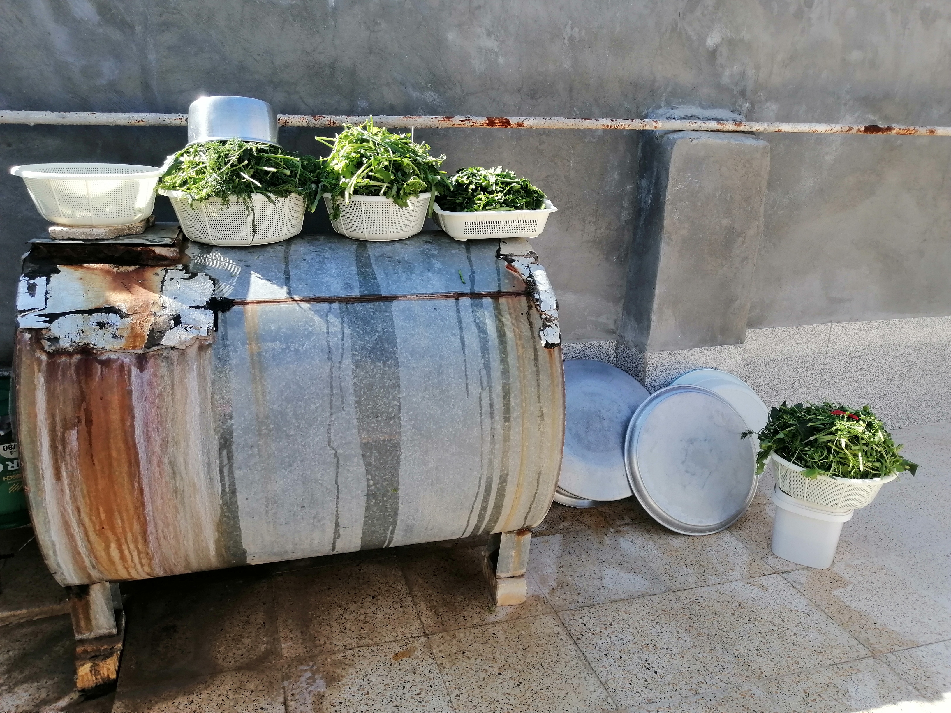 گذاشتیم کمی سبزی ها خشک یشن😇