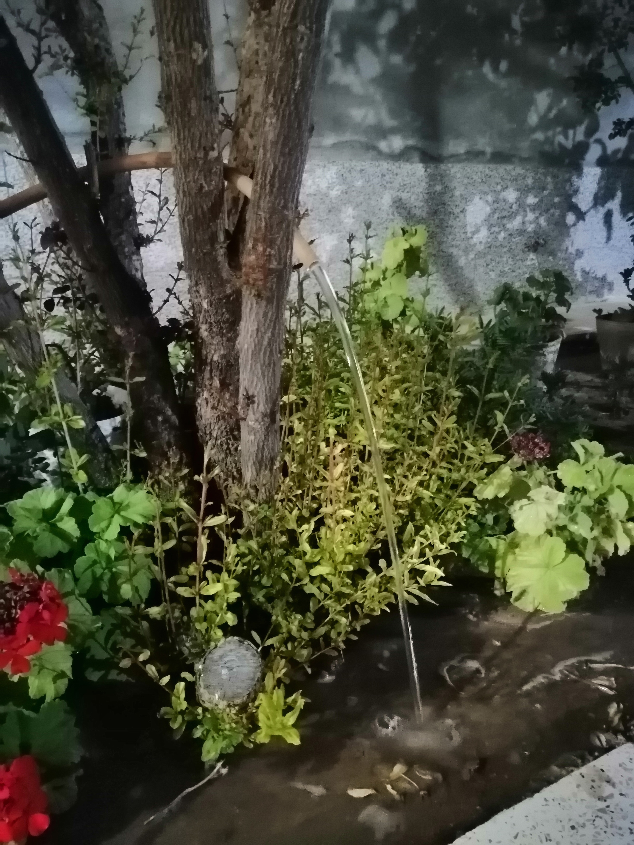 فقط برای ریا میگم، وضو اینجا چقدر دلچسب بود.