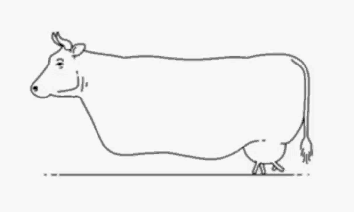 نتیجه ی کار هول هولکی