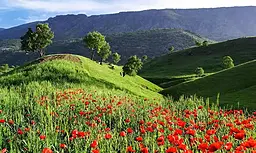 🌾 دشت ارژن شیراز | بهشت گمشده‌ای در دامنه زاگرس