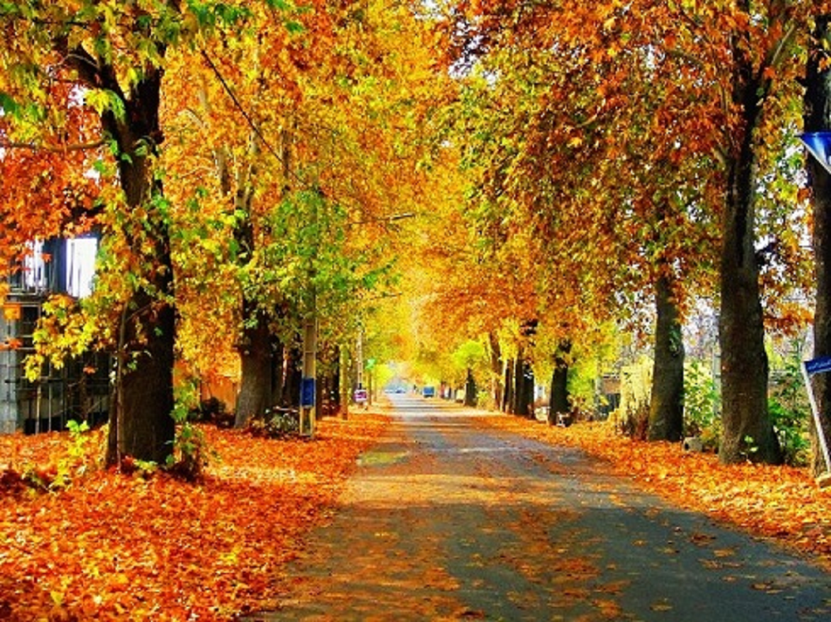 روستای آتشگاه - فراملک - faramelk