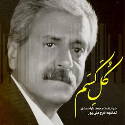محمد یاراحمدی خواننده