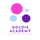 گلدیس آکادمی