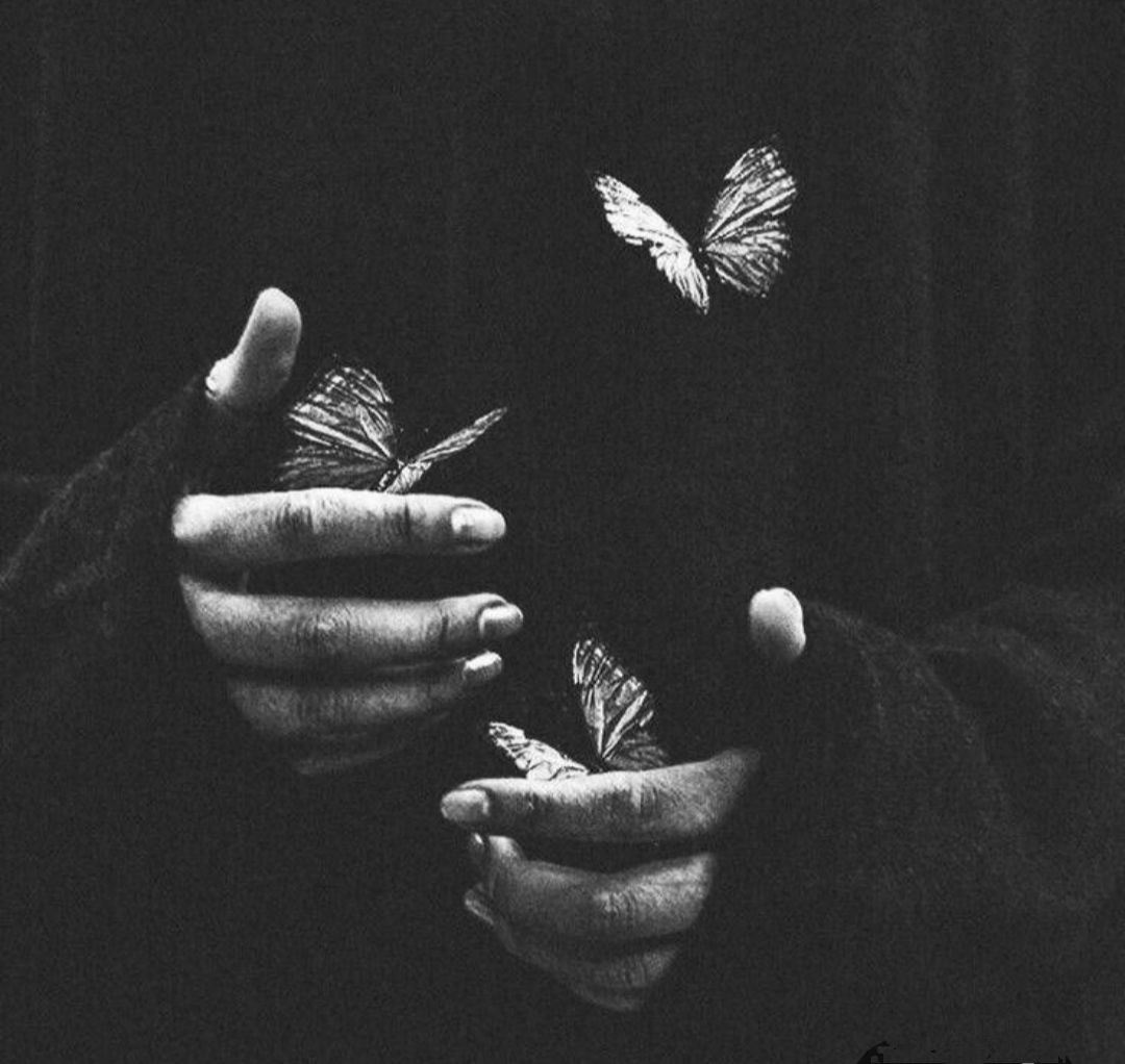 ستاره ای به عمر پروانه...