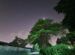 فرار نکن پسر خوب!