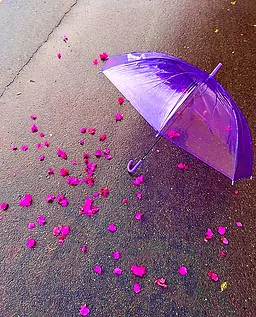 چتر