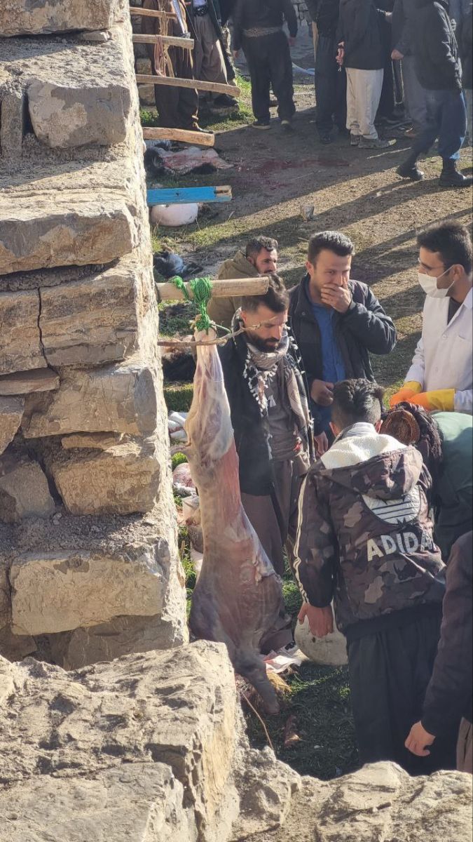 قربانی کردن