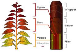 سیگار برگ چیست؟