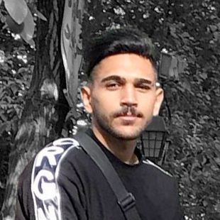 امیرحسین شمس
