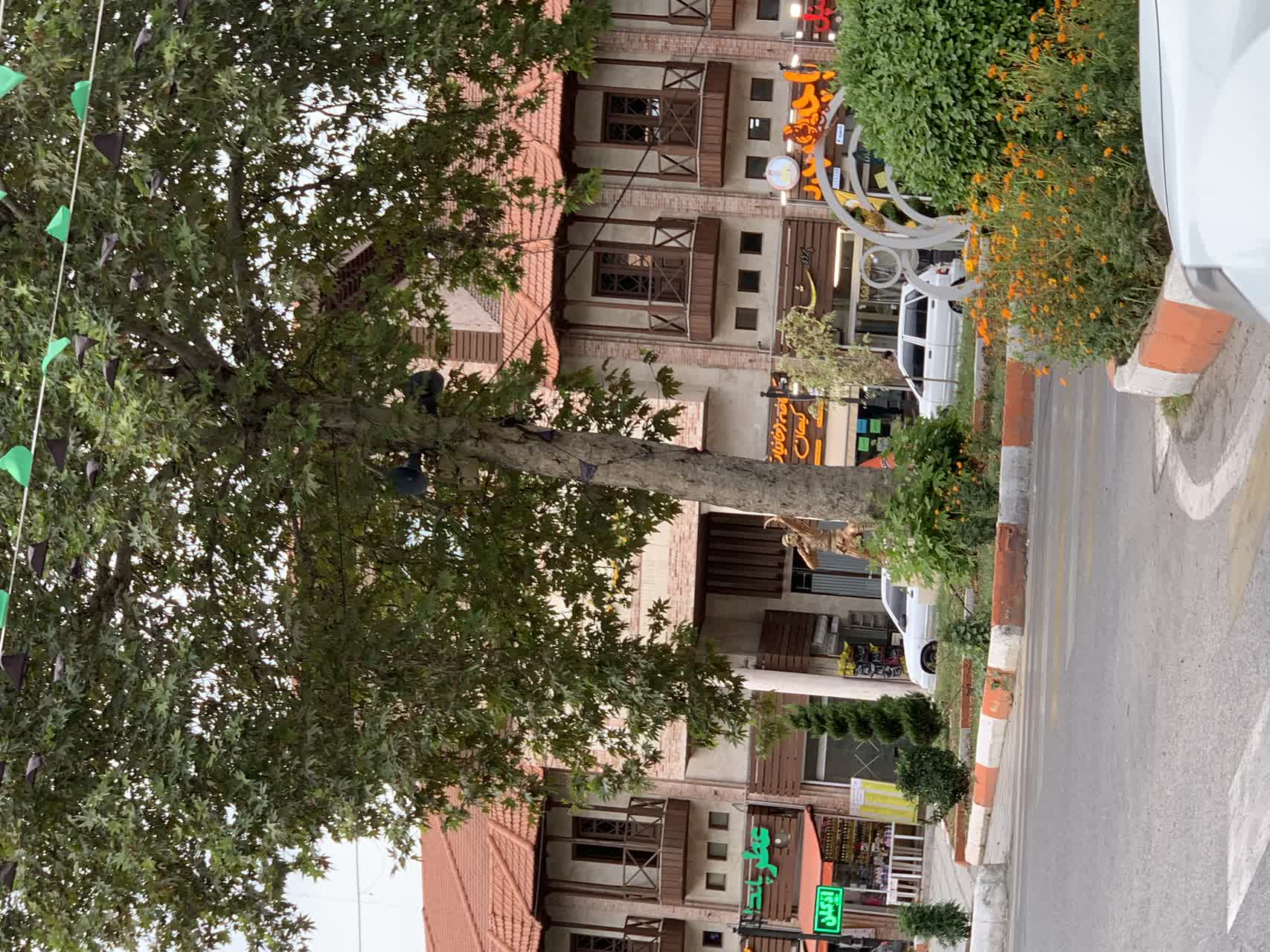 ساری زیبا💖