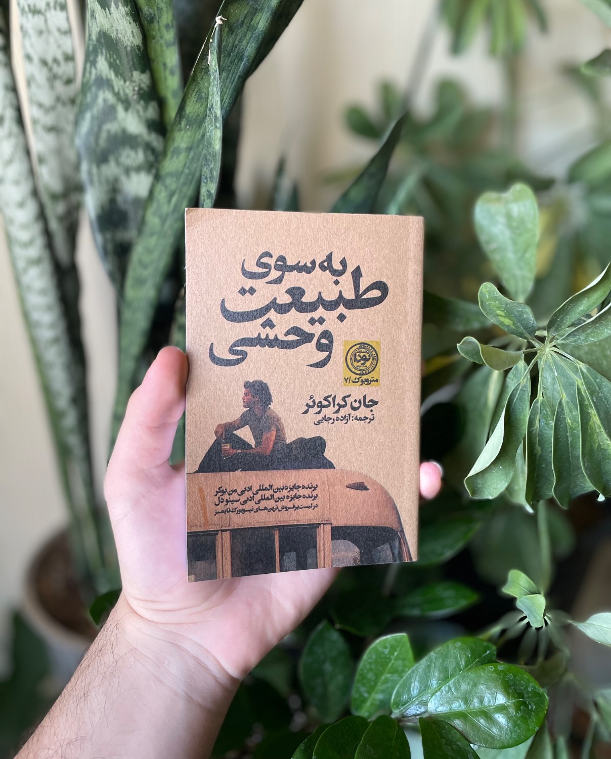 وقتی مقصد روی نقشه نیست، معرفی کتاب به سوی طبیعت وحشی