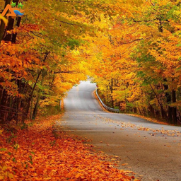 بهترین شهرها برای سفرهای پاییزی