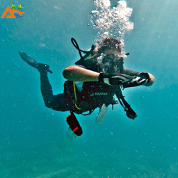 برترین مقاصد ساحلی برای غواصی: کشف دنیای زیر آب