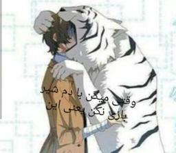 طنز سگ های ولگرد بانگو