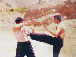 انواع ضربات پا در ورزشهای رزمی