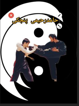 بیوگرافی حامد رحیمی پنجکی