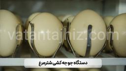 جوجه کشی از مرغ و شترمرغ با یک نوع دستگاه جوجه کشی